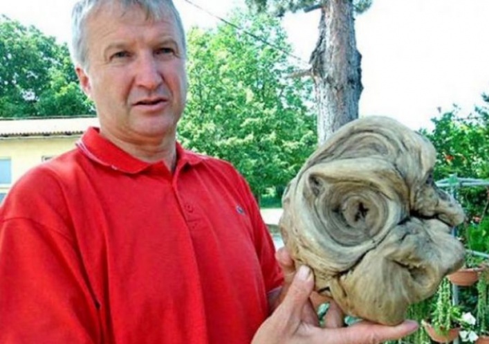 foto: Encuentra la cabeza de un extraterrestre en un cementerio