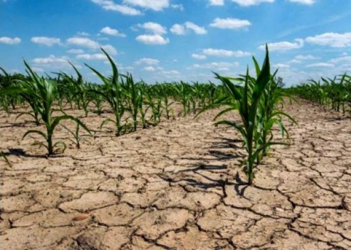 foto: Declaran la emergencia y desastre agropecuario por sequía en Patagones