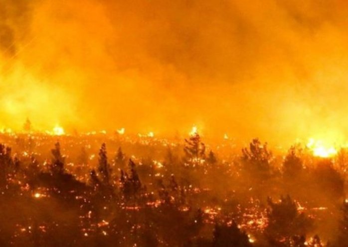 foto: Chile: los incendios dejan 24 muertos, casi 1.000 heridos y 800 viviendas destruidas