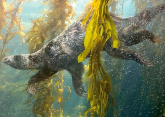 foto: Científicos de la Unne identificaron los fósiles de un perezoso acuático